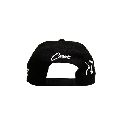 Take Me Back to LA Hat - Onyx